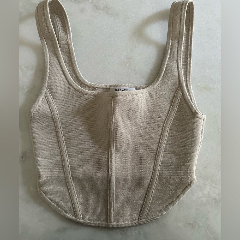 Aritzia Babaton Top / Tank